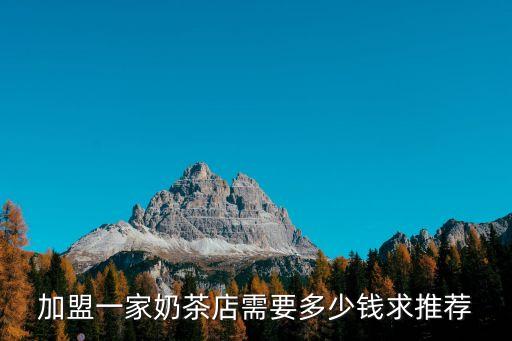 加盟一家奶茶店需要多少钱求推荐