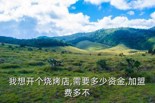 我想开个烧烤店,需要多少资金,加盟费多不