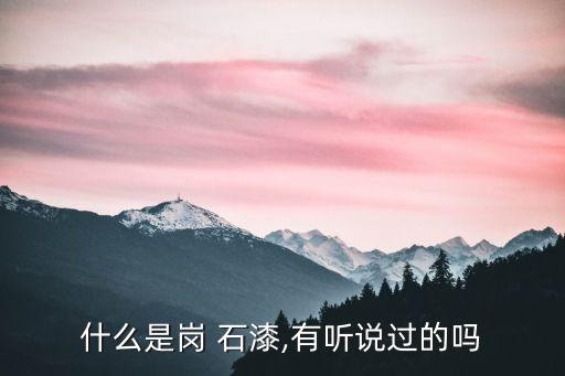 合肥岗石漆加盟费用