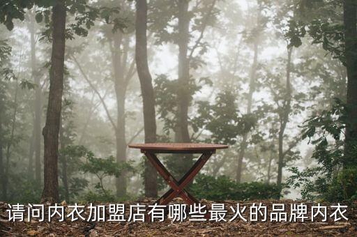 请问内衣加盟店有哪些最火的品牌内衣