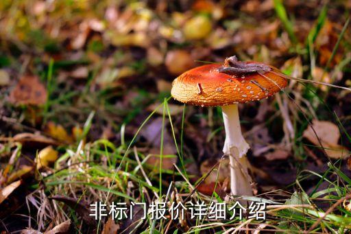  非标门报价详细介绍