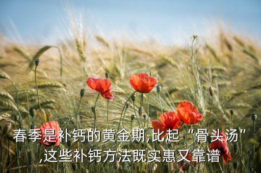 天津钙骨包加盟费多少
