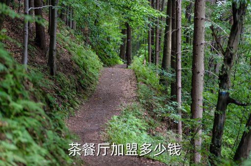 各大餐饮品牌加盟费用表,餐饮品牌加盟排行榜100强