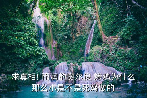 求真相! 雨润的奥尔良 烤鸡为什么那么小是不是死鸡做的