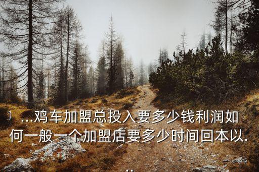 ...鸡车加盟总投入要多少钱利润如何一般一个加盟店要多少时间回本以...