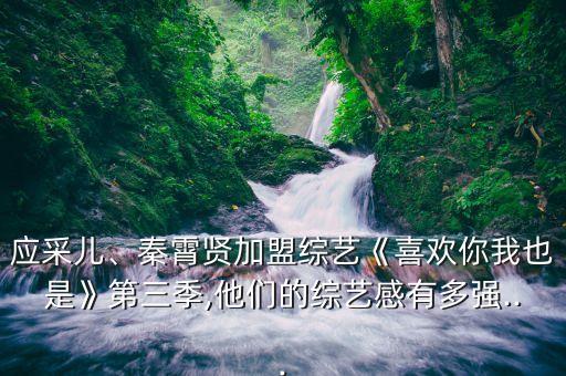 应采儿、秦霄贤加盟综艺《喜欢你我也是》第三季,他们的综艺感有多强...