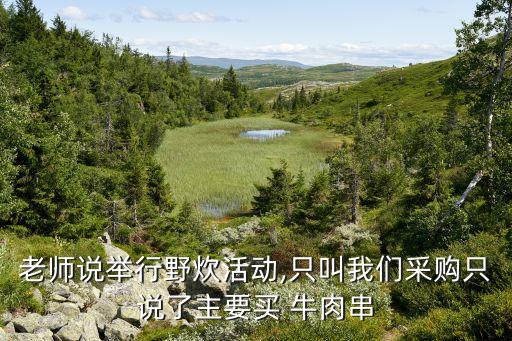 老师说举行野炊活动,只叫我们采购只说了主要买 牛肉串