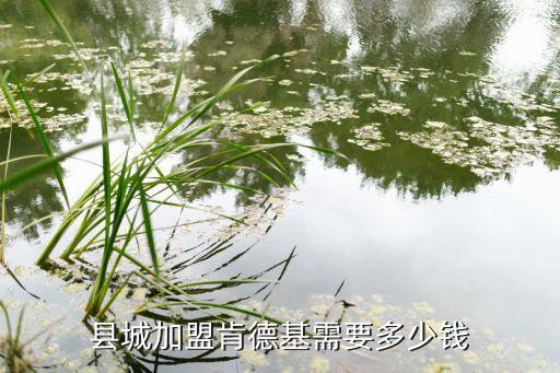 县城加盟肯德基需要多少钱