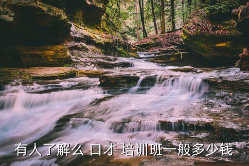 有人了解么 口才 培训班一般多少钱