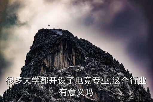 很多大学都开设了电竞专业,这个行业有意义吗