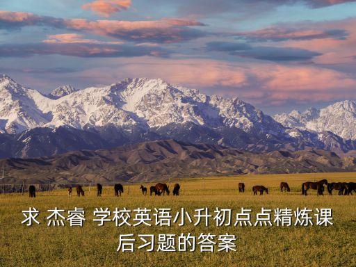 求 杰睿 学校英语小升初点点精炼课后习题的答案