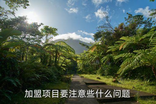 加盟项目要注意些什么问题