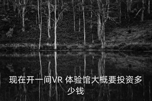 现在开一间VR 体验馆大概要投资多少钱