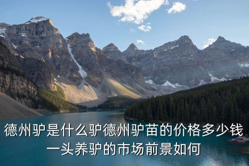 德州驴是什么驴德州驴苗的价格多少钱一头养驴的市场前景如何