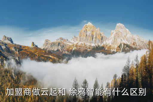 湖州涂鸦教学加盟费用