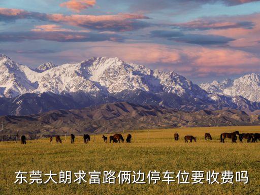 东莞车牌识别系统加盟费用