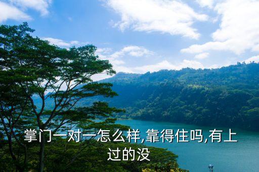  掌门一对一怎么样,靠得住吗,有上过的没