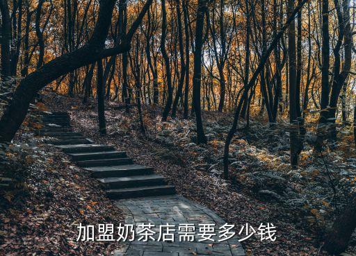 加盟奶茶店需要多少钱
