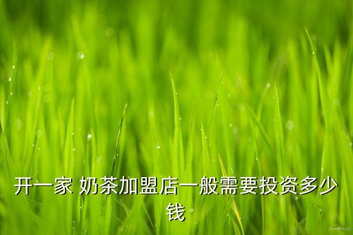 开一家 奶茶加盟店一般需要投资多少钱