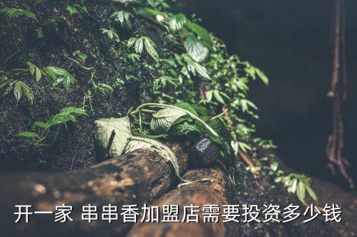开一家 串串香加盟店需要投资多少钱