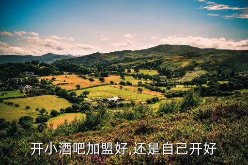 开小酒吧加盟好,还是自己开好
