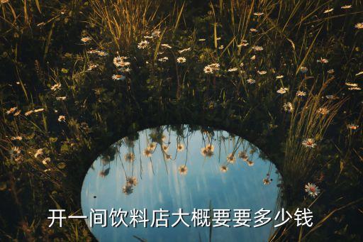 开一间饮料店大概要要多少钱