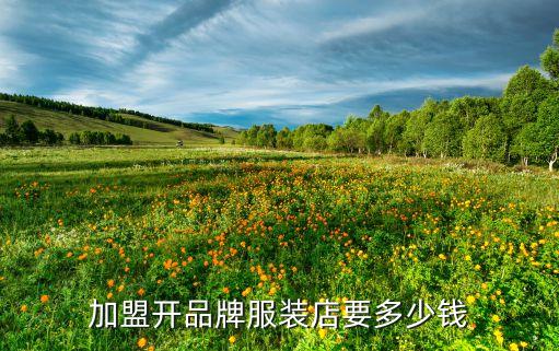 加盟开品牌服装店要多少钱
