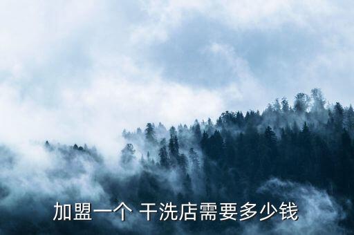 加盟一个 干洗店需要多少钱