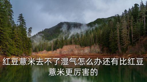 红豆薏米去不了湿气怎么办还有比红豆薏米更厉害的
