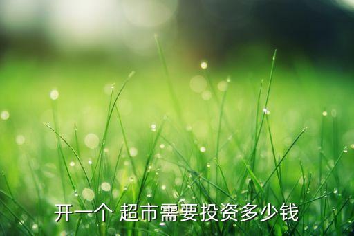 开一个 超市需要投资多少钱
