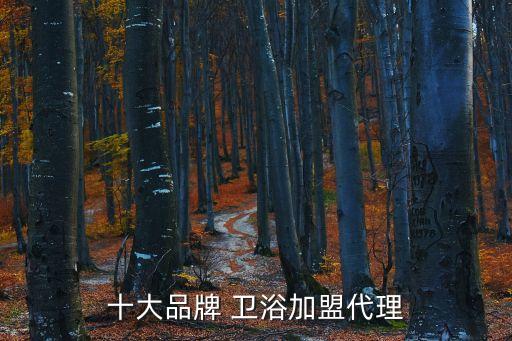十大品牌 卫浴加盟代理