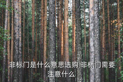  非标门是什么意思选购 非标门需要注意什么