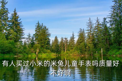 有人买过小米的米兔儿童手表吗质量好不好啊