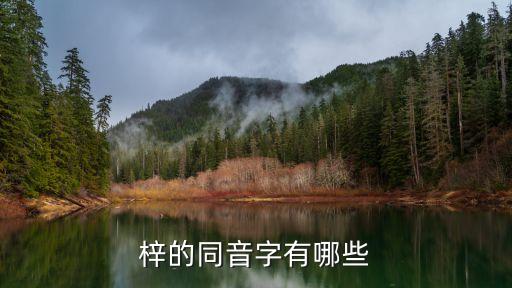 苗方梓颜祛痘加盟费是多少