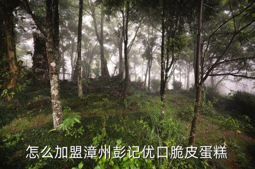 怎么加盟漳州彭记优口脆皮蛋糕
