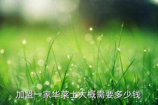加盟一家华莱士大概需要多少钱