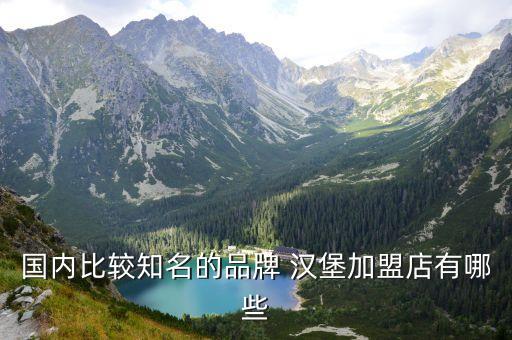 国内比较知名的品牌 汉堡加盟店有哪些
