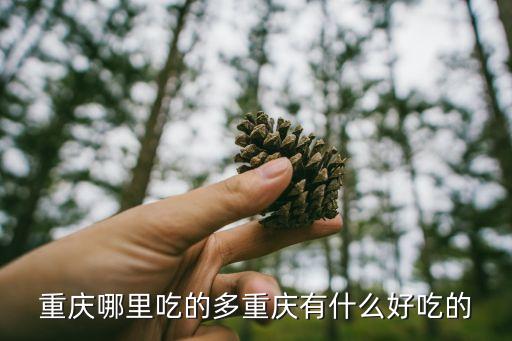 重庆哪里吃的多重庆有什么好吃的