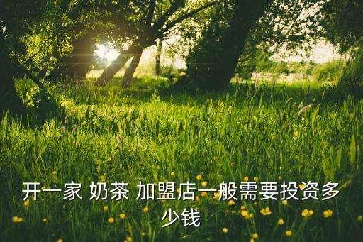 伊宁奶茶连锁加盟店加盟费