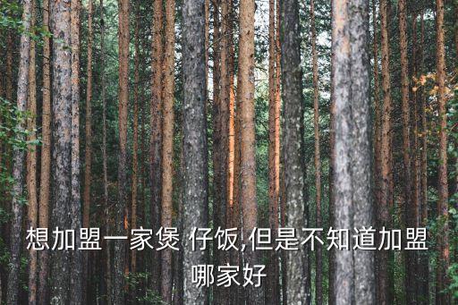 想加盟一家煲 仔饭,但是不知道加盟哪家好