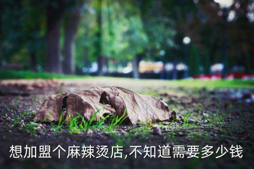 想加盟个麻辣烫店,不知道需要多少钱