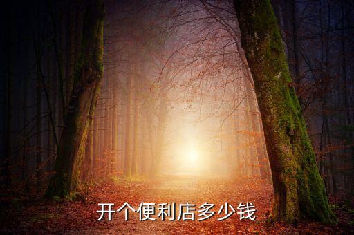 开个便利店多少钱