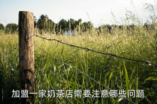 笼中仙加盟费加盟电话,鲜芋仙加盟费及加盟条件