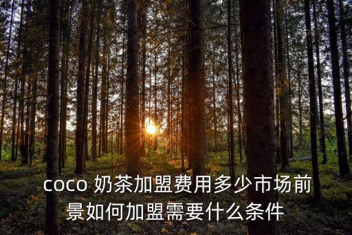  coco 奶茶加盟费用多少市场前景如何加盟需要什么条件