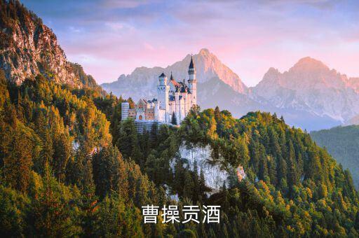 成都曹操加盟费及加盟条件,加盟曹操出行需要加盟费吗