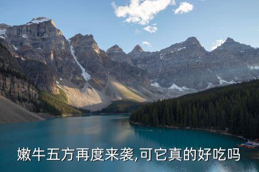嫩牛五卷加盟费