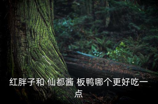 仙都酱板鸭加盟费用多少,醴陵仙都酱板鸭总店加盟电话和地址?