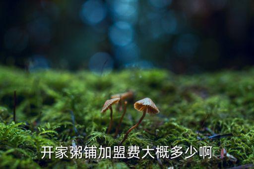 开家粥铺加盟费大概多少啊