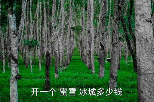 开一个 蜜雪 冰城多少钱