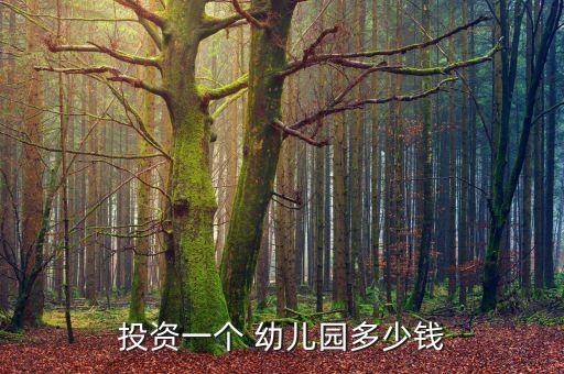 投资一个 幼儿园多少钱